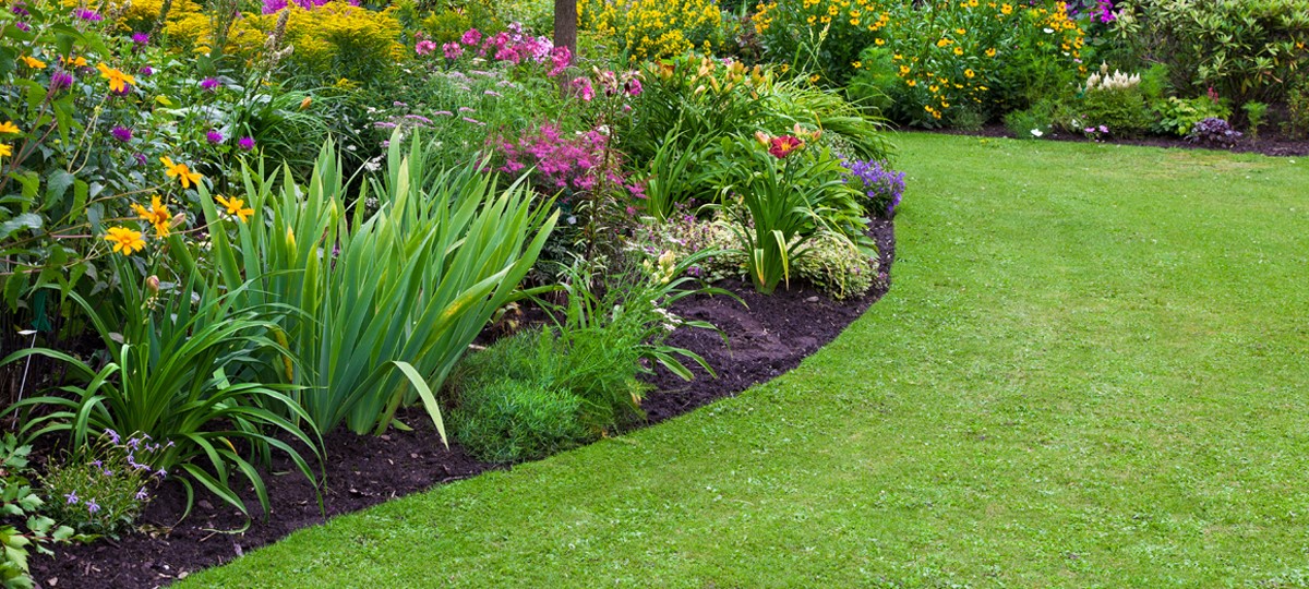 Featured image for “Subsidie om je tuin te vergroenen”