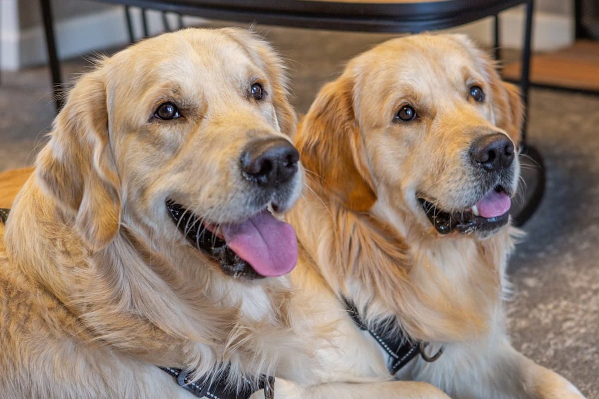 Van den Boer en Roggen teamleden - Bo en Finn